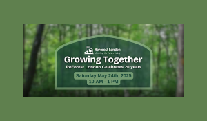 Growing Together - ReForest London Celebrates 20 years