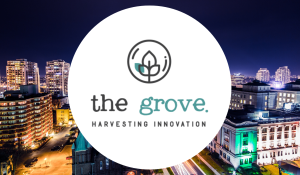 The Grove 2025 