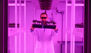 Western researcher receives funding from ARIA to unlock potential of plants