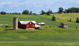 Gift helps Ivey Business School advance regenerative agri-food models