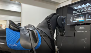 Saddle up! Londoners can take the reins on a new mechanical horse simulator