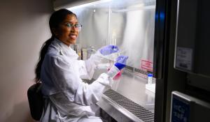 Schulich PhD candidate captures blood vessel splitting in action