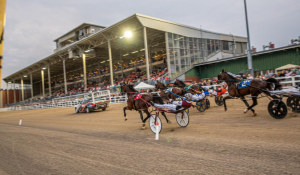Live Harness Racing Returns to The Raceway at Western Fair District on October 3
