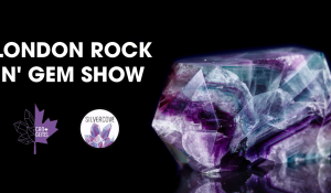 London Rock N' Gem Show