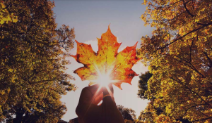 Upcoming Federal Budget 2025 Overview: What Canadian Businesses Can Expect 