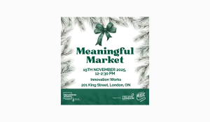 Meaningful Market 2025