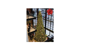 100 Kellogg Lane: Tree Lighting Ceremony