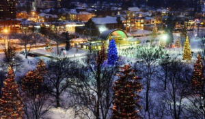 Victoria Park Lighting of the Lights