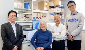International team uses AI to discover new drugs for fighting cancer and infectious disease