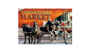 Horse & Carriage Rides