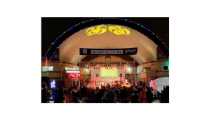 New Year's Eve in the Park