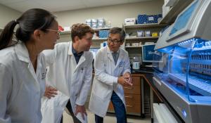 Western profs power advancements in cancer research, treatment