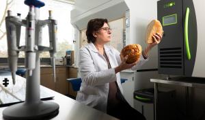Yogurt waste inspires Western researcher to innovate – with sourdough bread