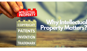 Why Intellectual Property Matters?