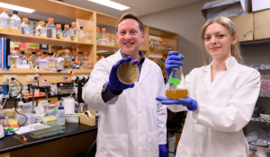 From algae to biofuel: Western study opens doors to cheaper, cleaner fuel sources