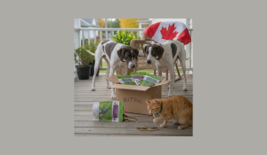 Pet Longevity Through Local and Northern Partnerships