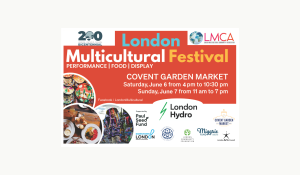 The London Multicultural Festival