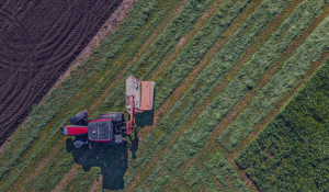 A Guide to Canada’s Top Agri-Food Marketing Funding Programs 