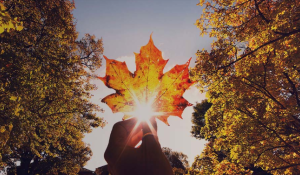 Canadian Business Grants Explained: How Businesses Can Access Funding for Growth 
