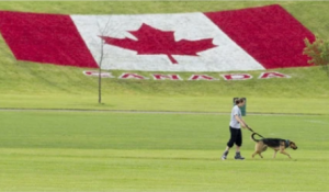 Fireworks, fun and a new honour: Our guide to Canada Day in London