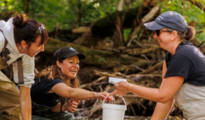 Endangered mussels reintroduced to Medway Creek in a Canadian first