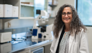 New health research funding brings $16.3M to Western scholars