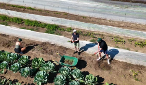 Ivey students give back to community organizations
