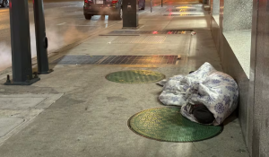 City committee green lights multiple new plans to respond to homelessness