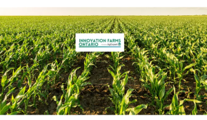 Innovation Farms Ontario x AIVA Network Demo Day 2026