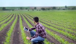 Strategic Response Fund Canada: Up to $50 Million for Food Processing Projects 
