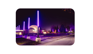 Shine the Light on Woman Abuse Campaign